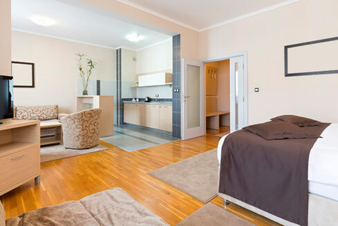 Studio Apartment